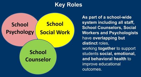 Key Roles Integrated Counselor Social Worker Psychologist